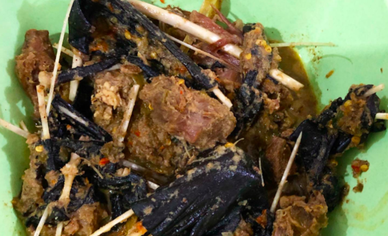 Paniki, makanan ekstrem di Indonesia yang berbahan dasar kelelawar. (Instagram.com/@drwiz)