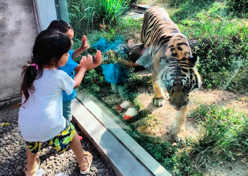 Gembira Loka Zoo, rekomendasi tempat wisata di Jogja yang cocok untuk keluarga dan anak-anak. (Instagram.com/@aura.apriliaa)