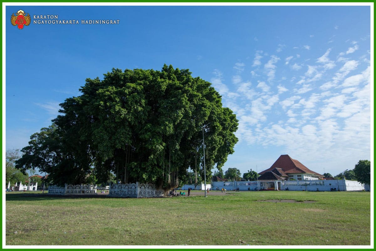 Alun-alun Kidul, tempat wisata gratis di Jogja yang ikonik dan Instagramable tanpa tiket masuk. (Dok kratonjogja.id)