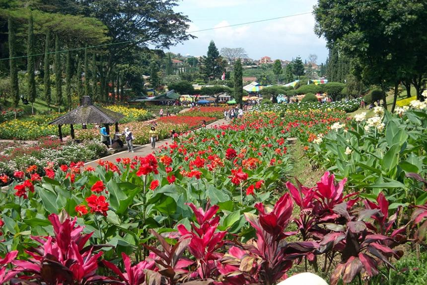 Kebun Bunga Cihideung, tempat wisata murah di Bandung dengan harga tiket murah hingga gratis. (Dok direktoripariwisata.id)