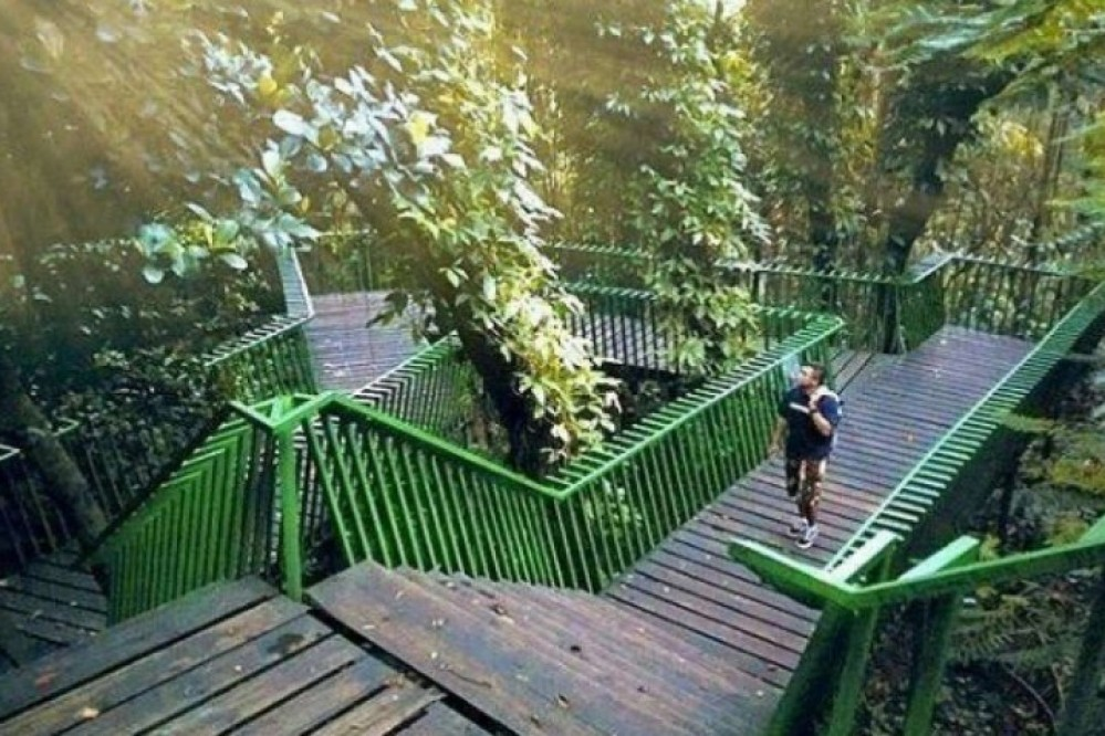 Forest Walk Babakan Siliwangi, tempat wisata murah di Bandung dengan harga tiket murah hingga gratis. (Dok bandung.go.id)