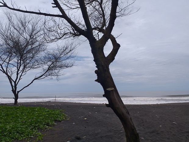 Pantai Pandansimo, wisata pantai terdekat dari Malioboro Jogja, waktu perjalanan tak sampai satu jam. (Dok bantulpedia.bantulkab.go.id)