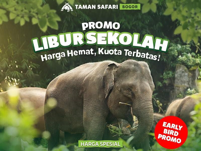 Taman Safari Bogor beri promo harga tiket masuk khusus liburan sekolah hanya Rp 230 ribu dan ada Safari Malam. (Dok tamansafari.com)