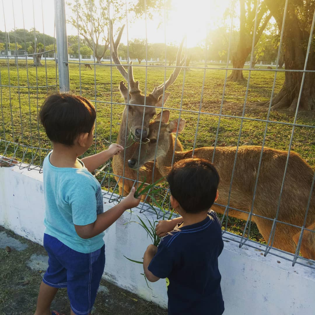 Taman Rusa Bumi Patra Indramayu, tempat wisata instagramable dan hits di Indramayu. (Instagram.com/@shaapriesha)